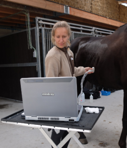 Ontwerp zonder titel (1)